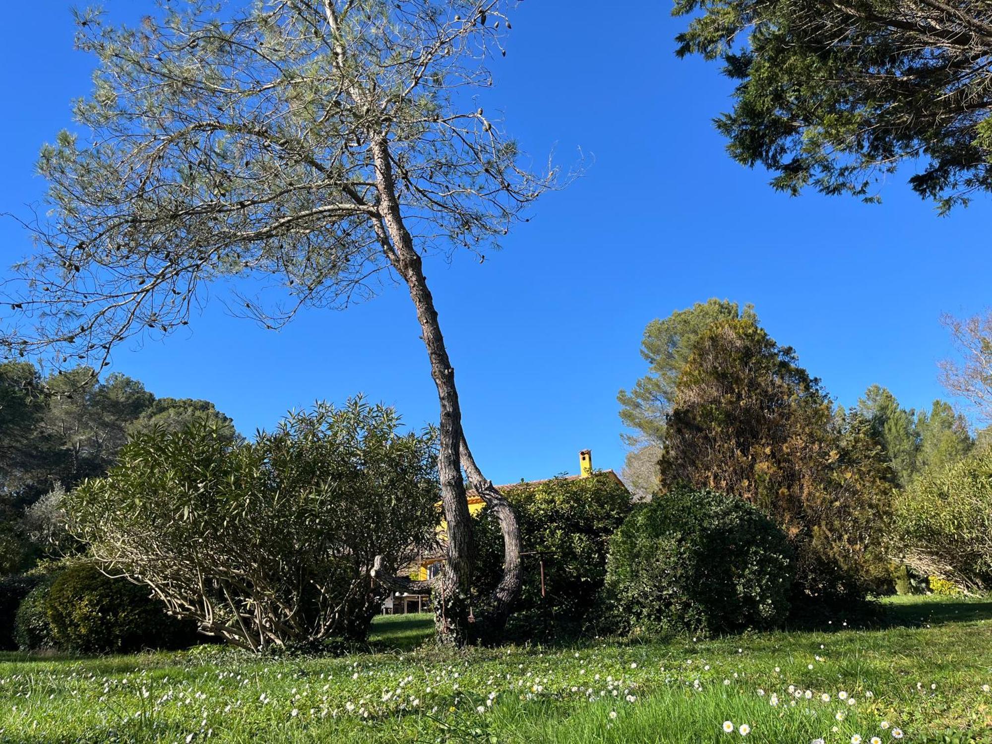Villa De Miha Valbonne Bagian luar foto